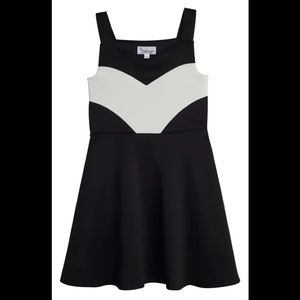 Bebe Colorblock Dress